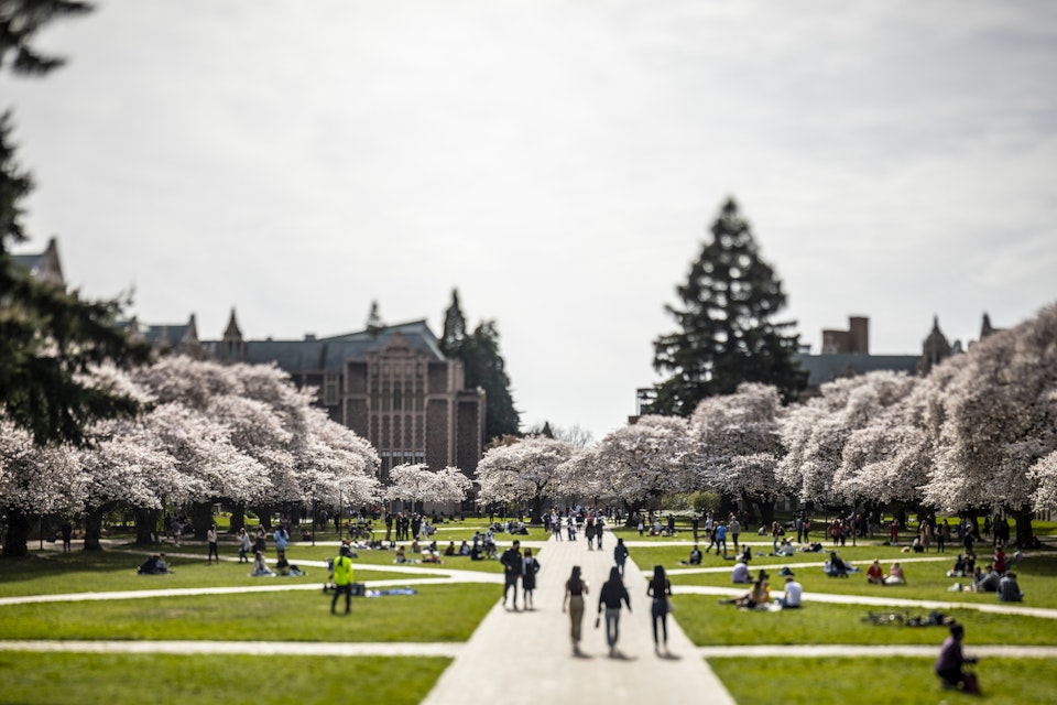 Students walking on the University of Washington campus